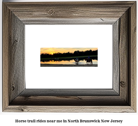 horse trail rides near me in North Brunswick, New Jersey